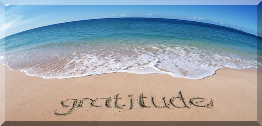 Gratitude