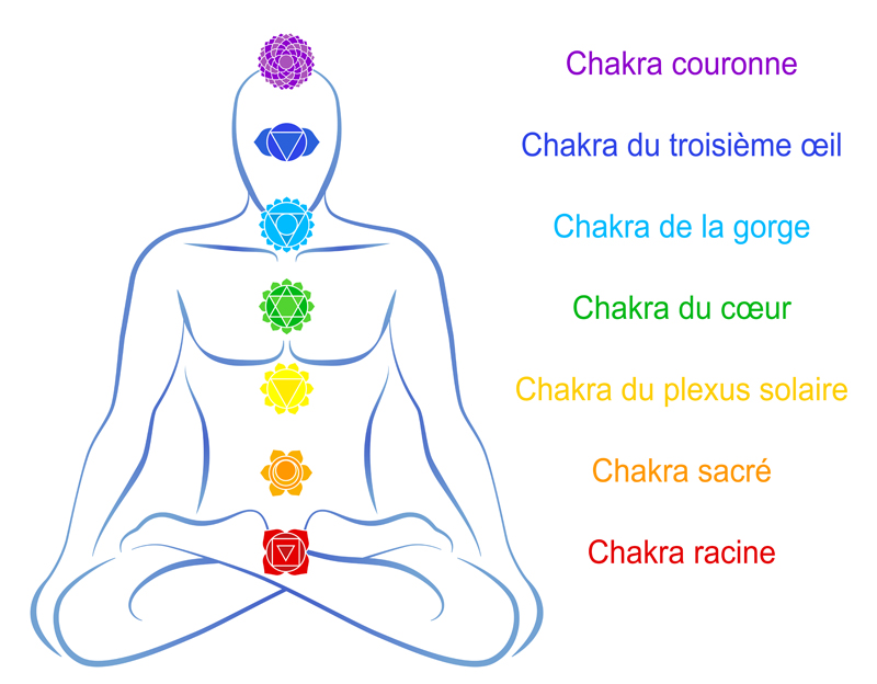 Illustration 7 chakras