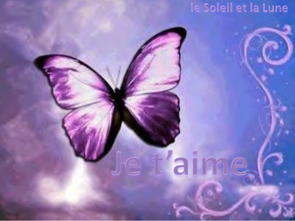 Je t aime