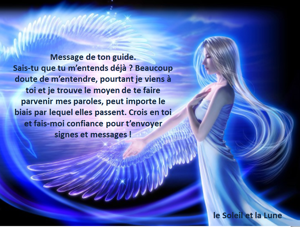 Message de ton guide