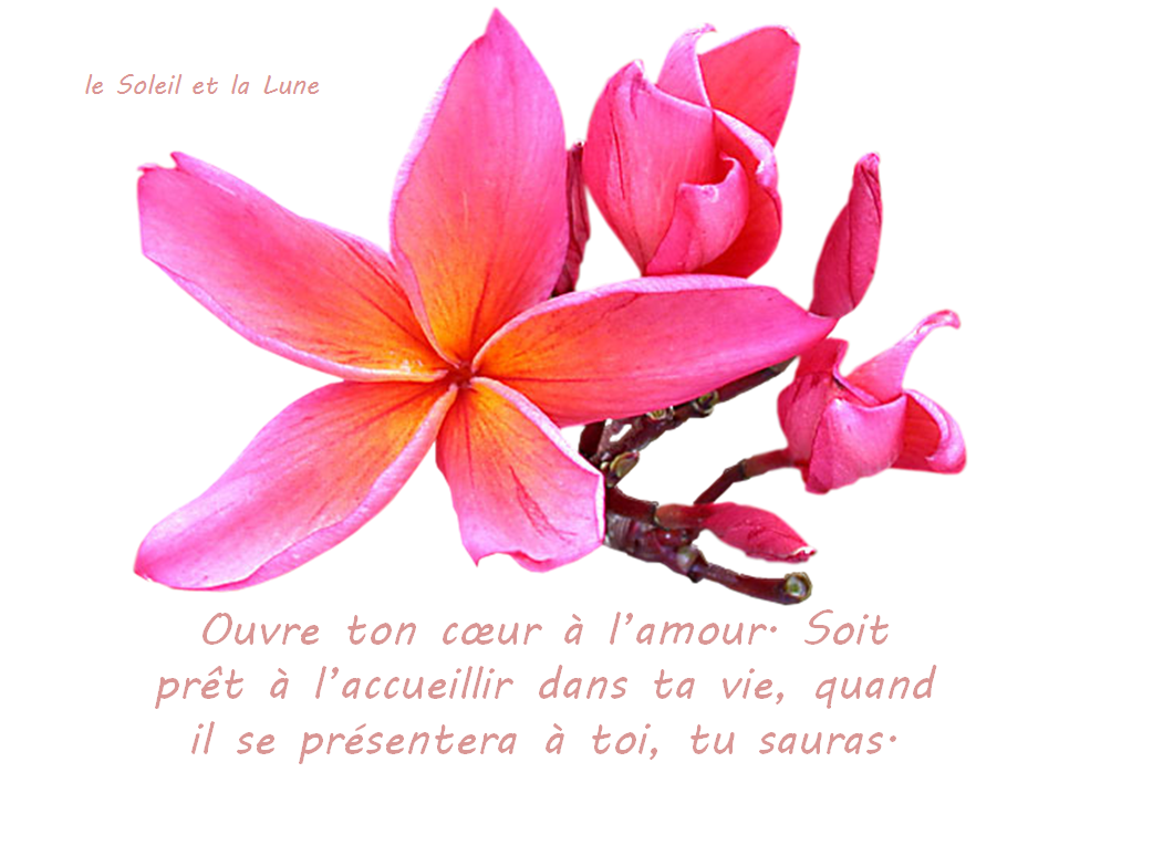 Ouvre ton coeur a l amour