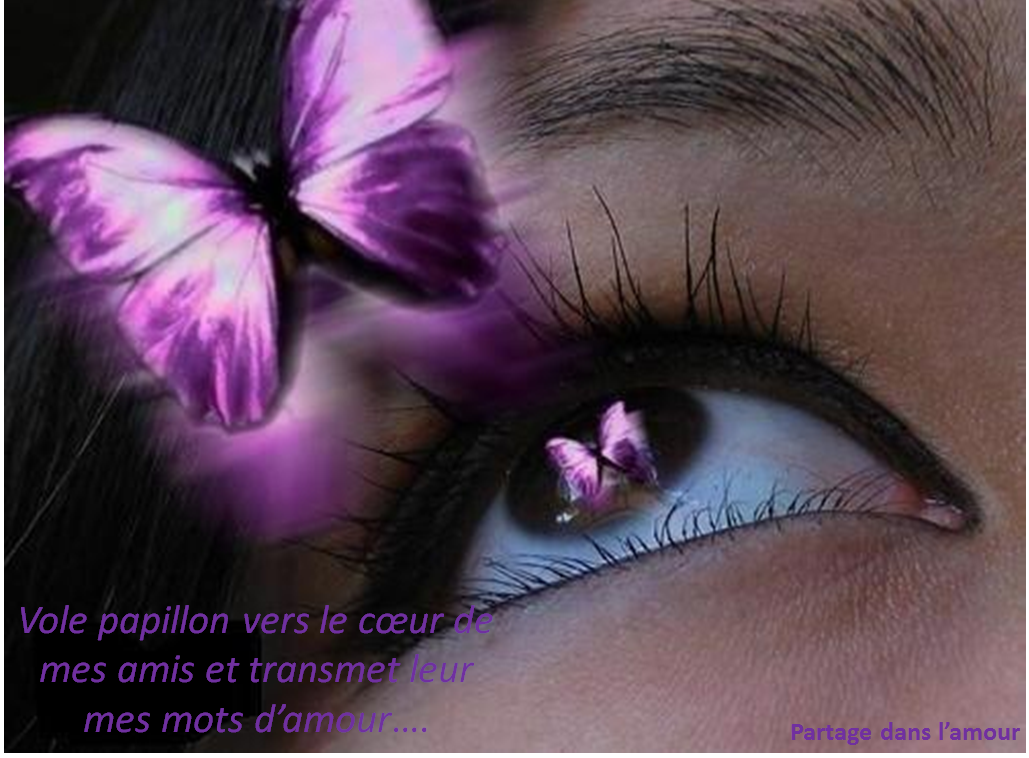 Papillon amour
